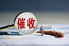 叶县企业清欠服务