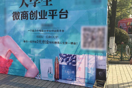 叶县贷款清欠服务